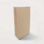 Ecopack Medium Lightweight Paper Bags