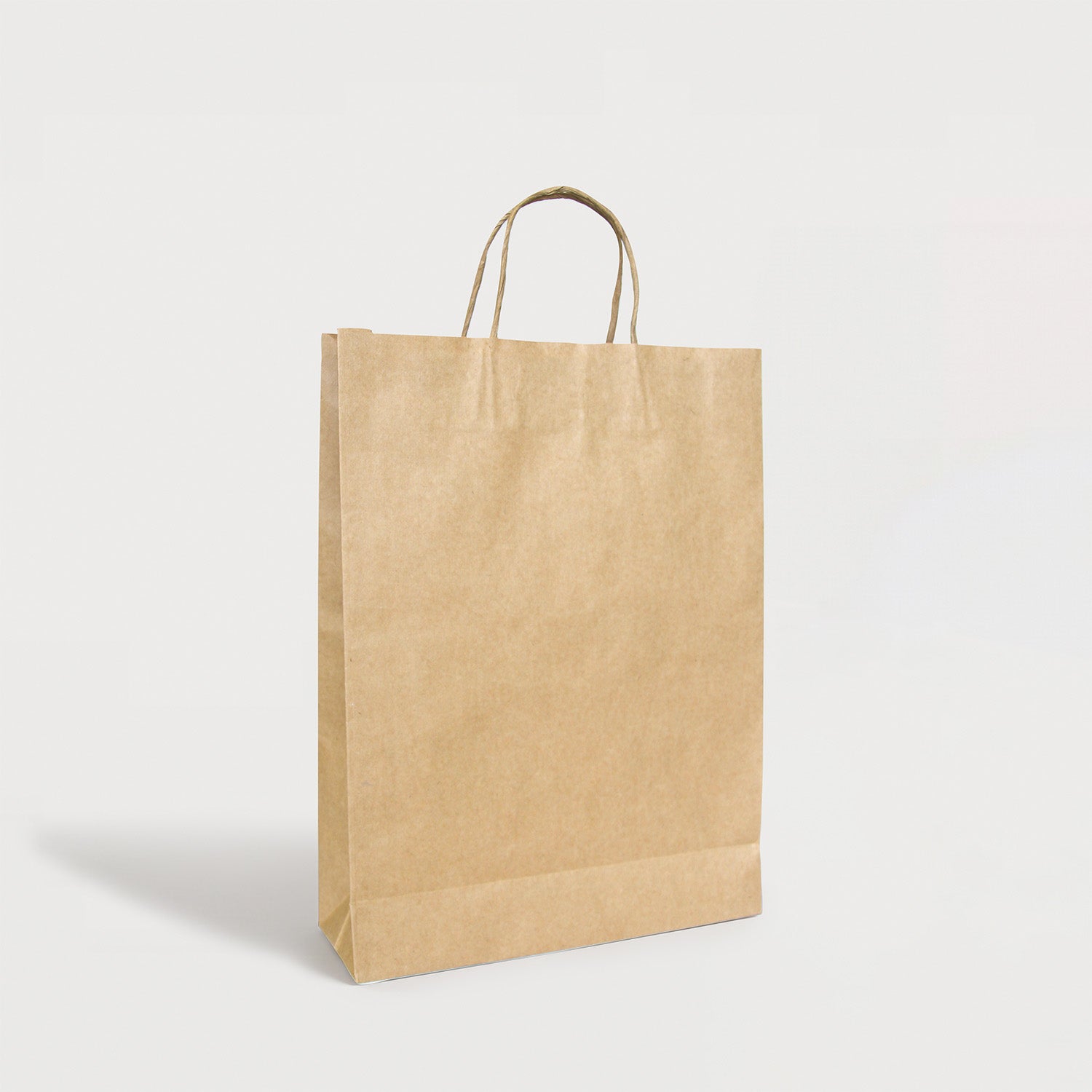 Ecopack Medium Twisted Handle Paper Bag Side View