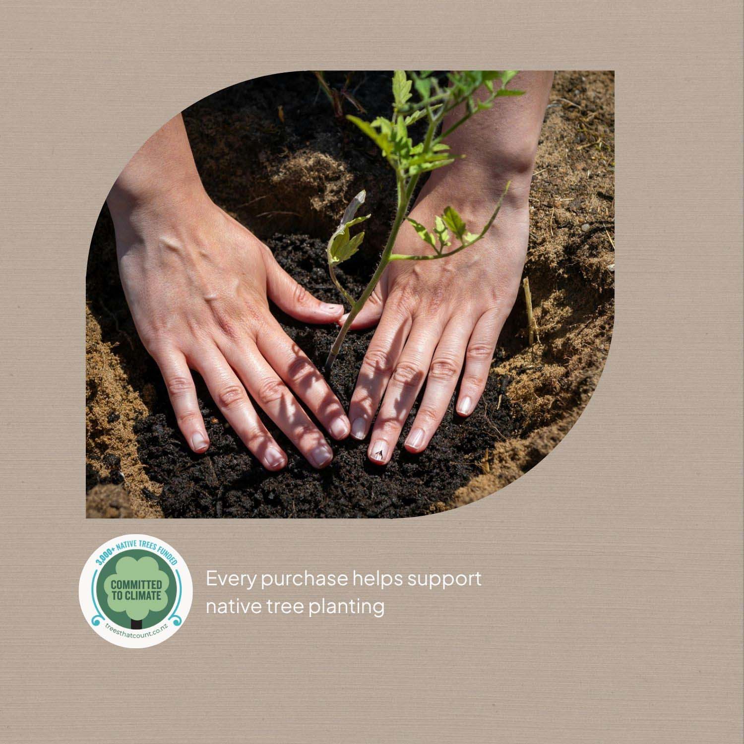 Ecopack multi-purpose bamboo cleaning cloths community impact
