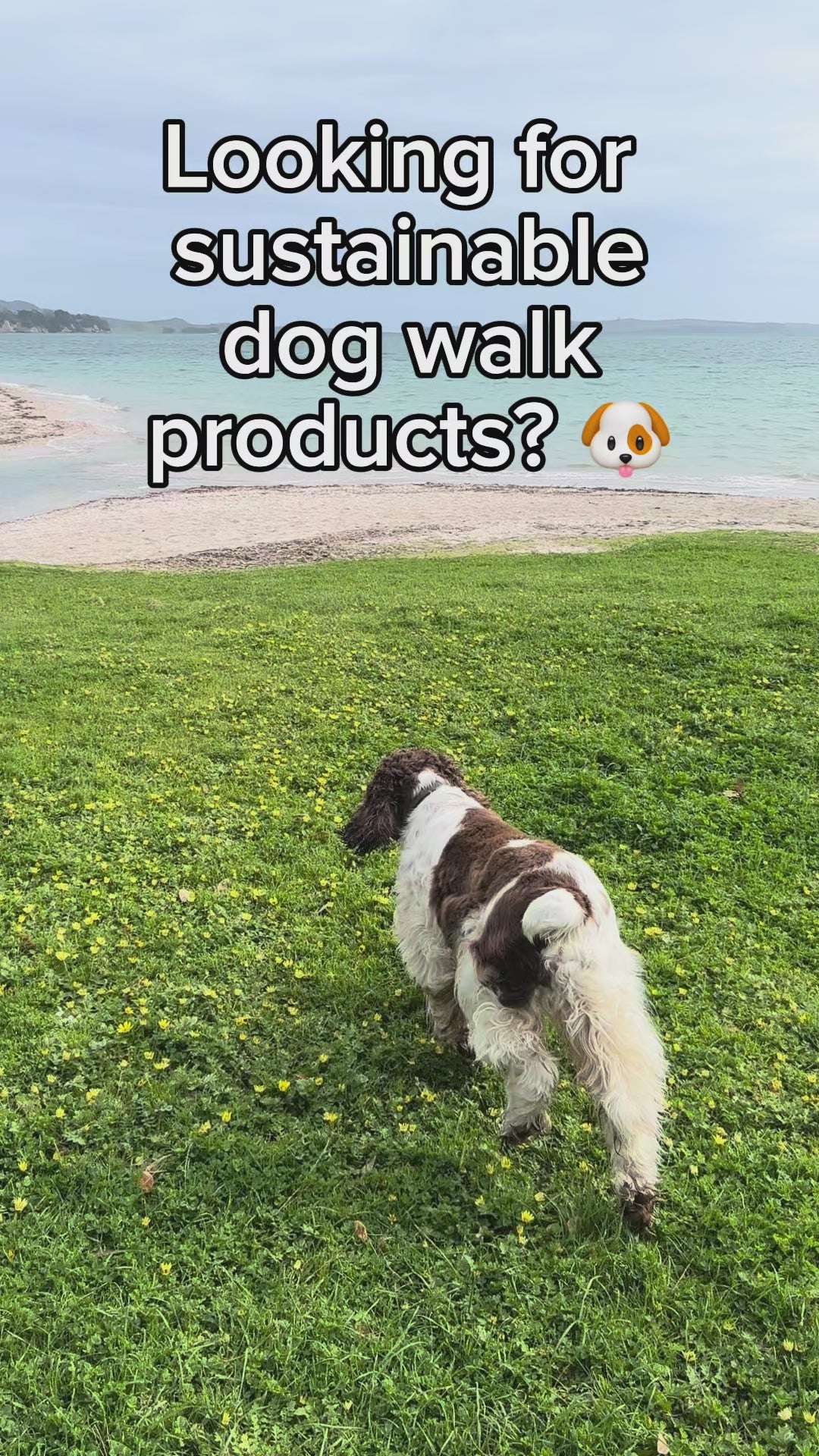 Ecopack sustainable dog walk products
