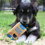 Ecopack Recycled Plastic Dog Poop 90 Bags Cute Dog Next to Box