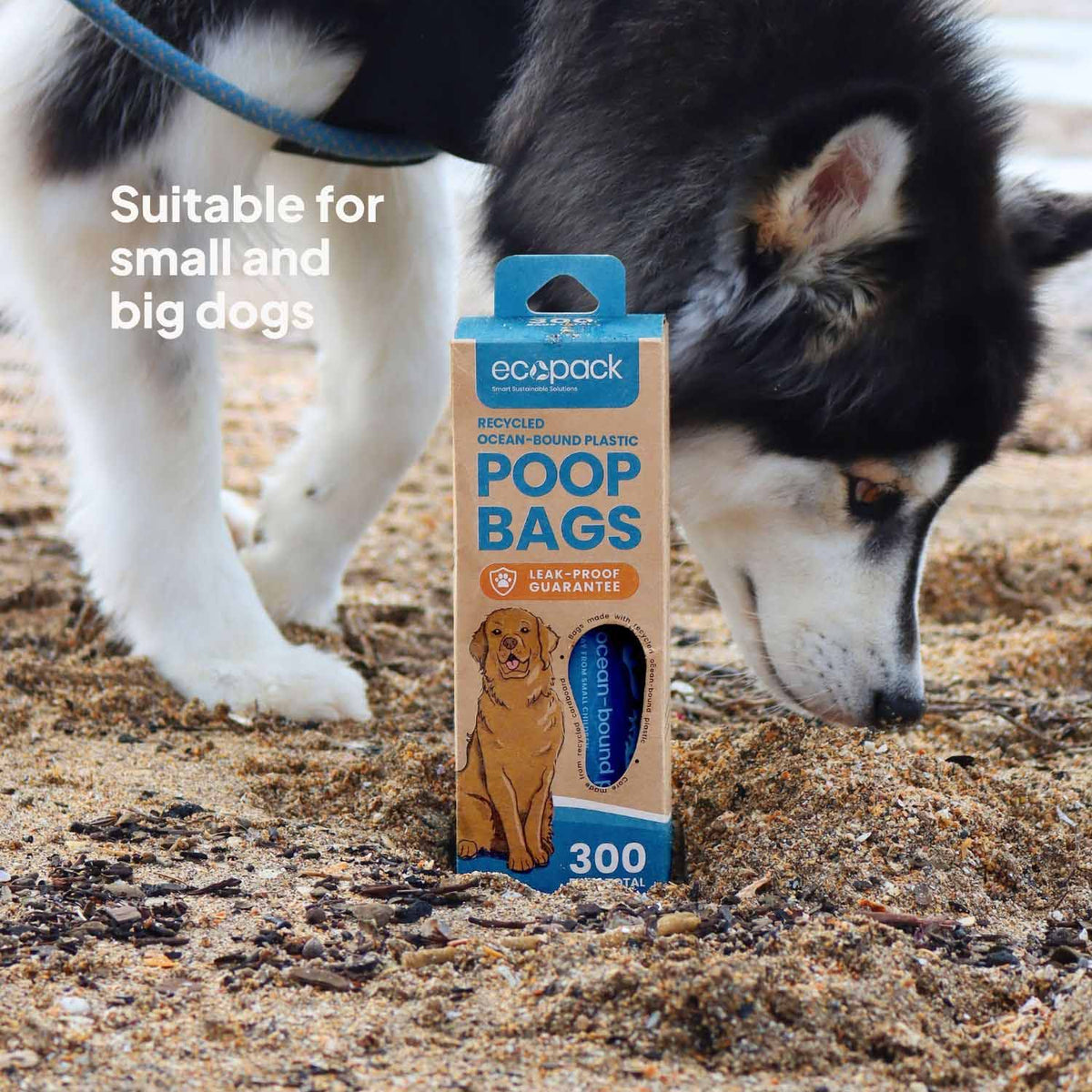 Ecopack Recycled Plastic Dog Poop Bags Dispenser Box Ocean Lifestyle