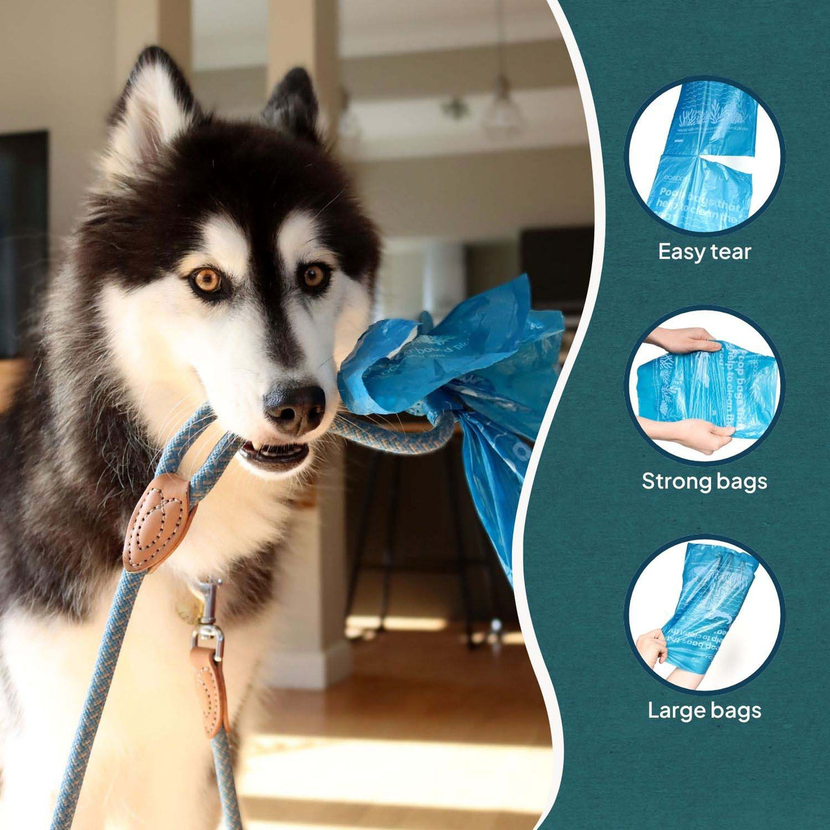 Ecopack Recycled Plastic Dog Poop Bags Dispenser Box Features