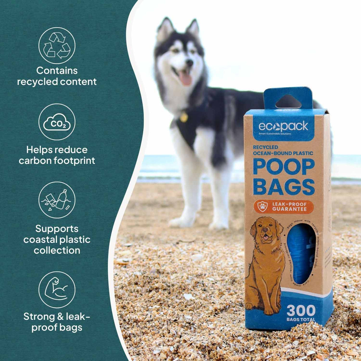 Ecopack Recycled Plastic Dog Poop Bags Dispenser Box Overview