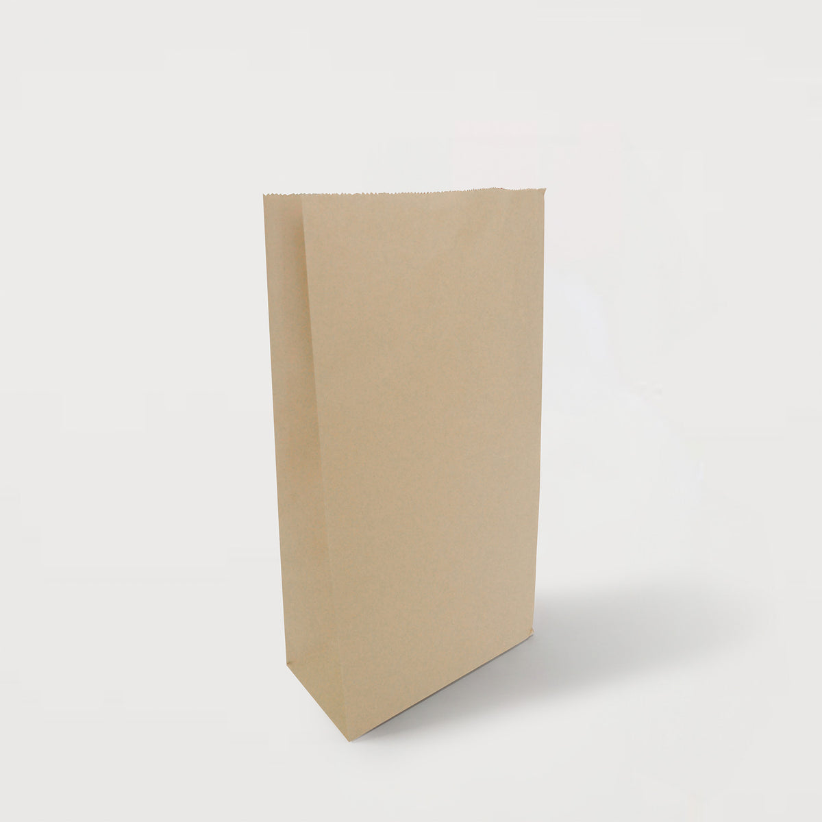 Ecopack Small Lightweight Paper Bags