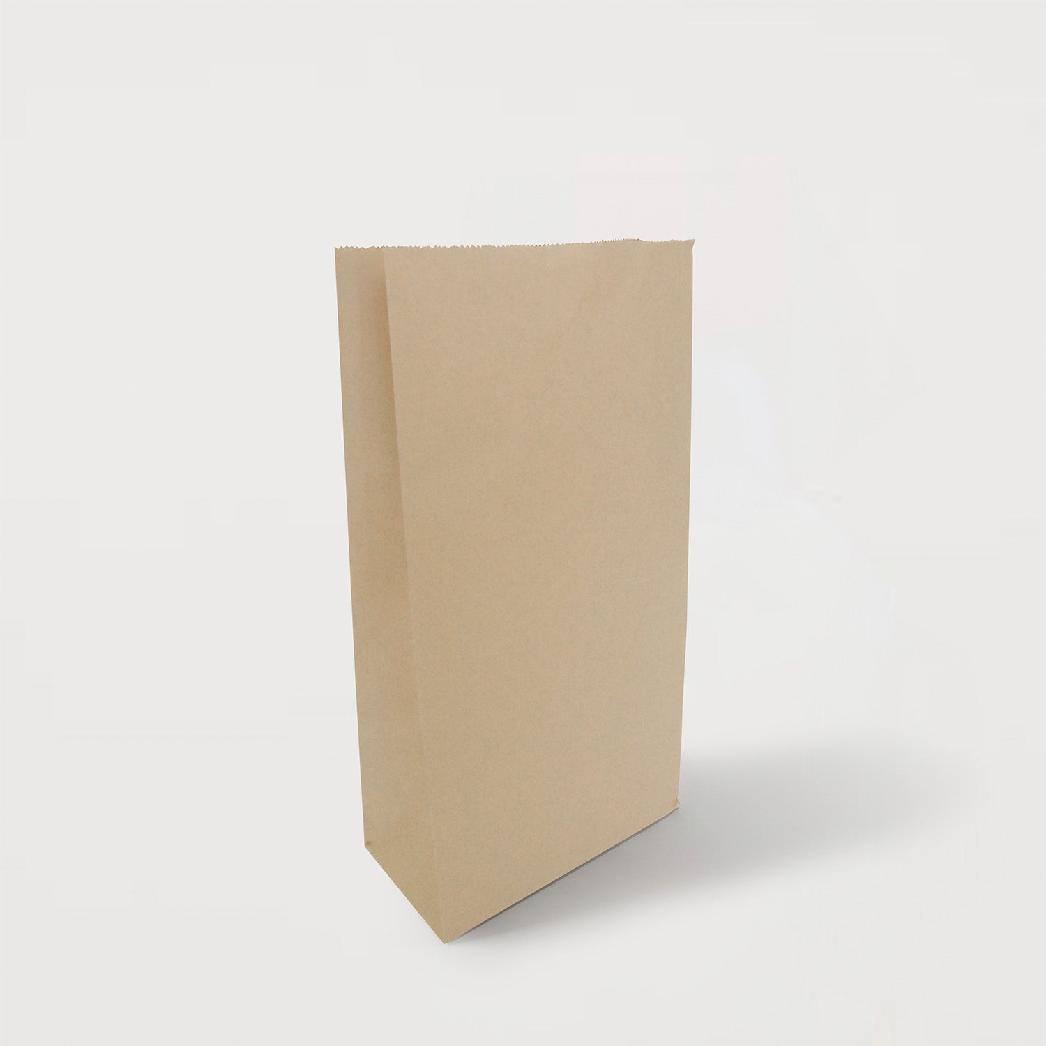 Ecopack Small Lightweight Paper Bags