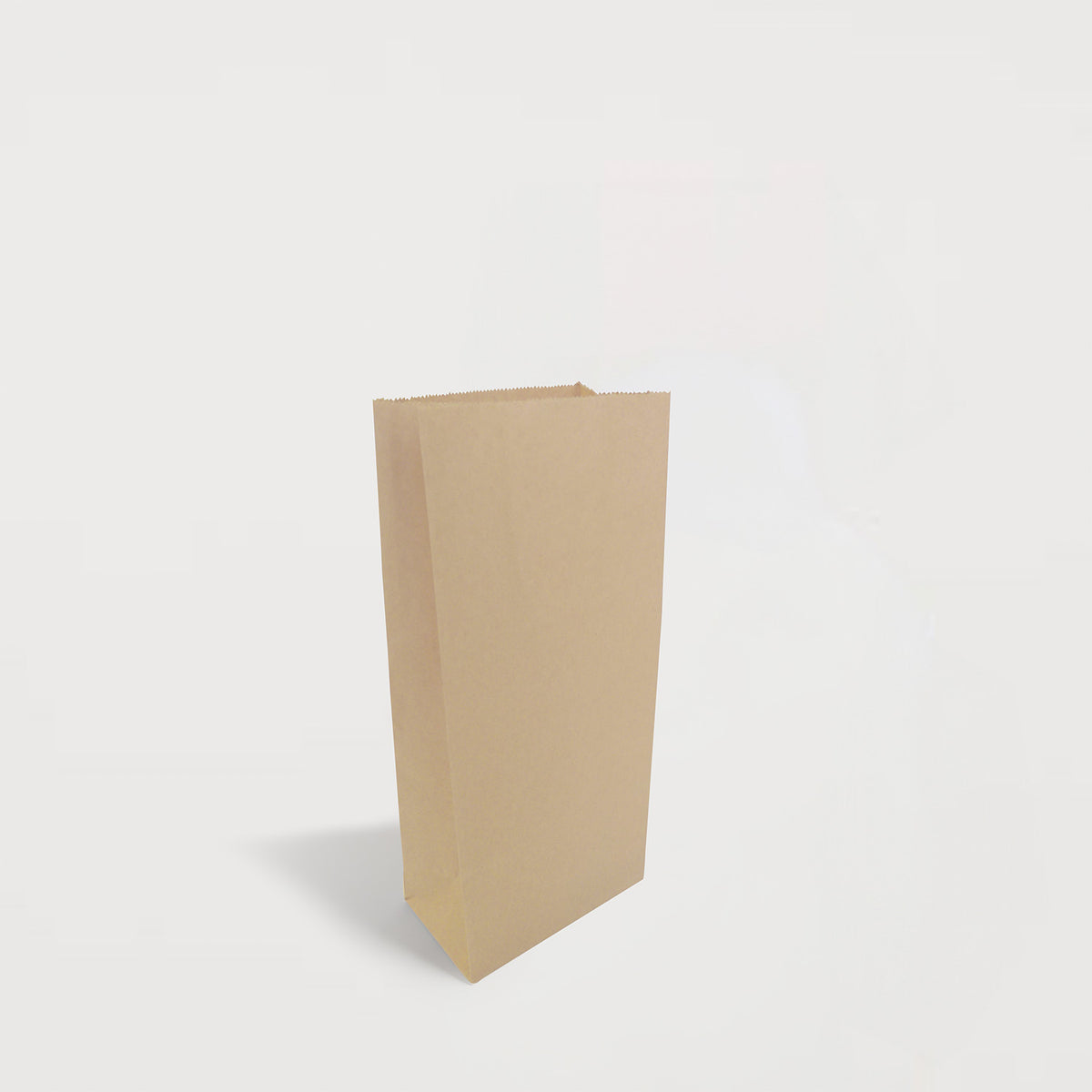 Ecopack XS Lightweight Paper Bags